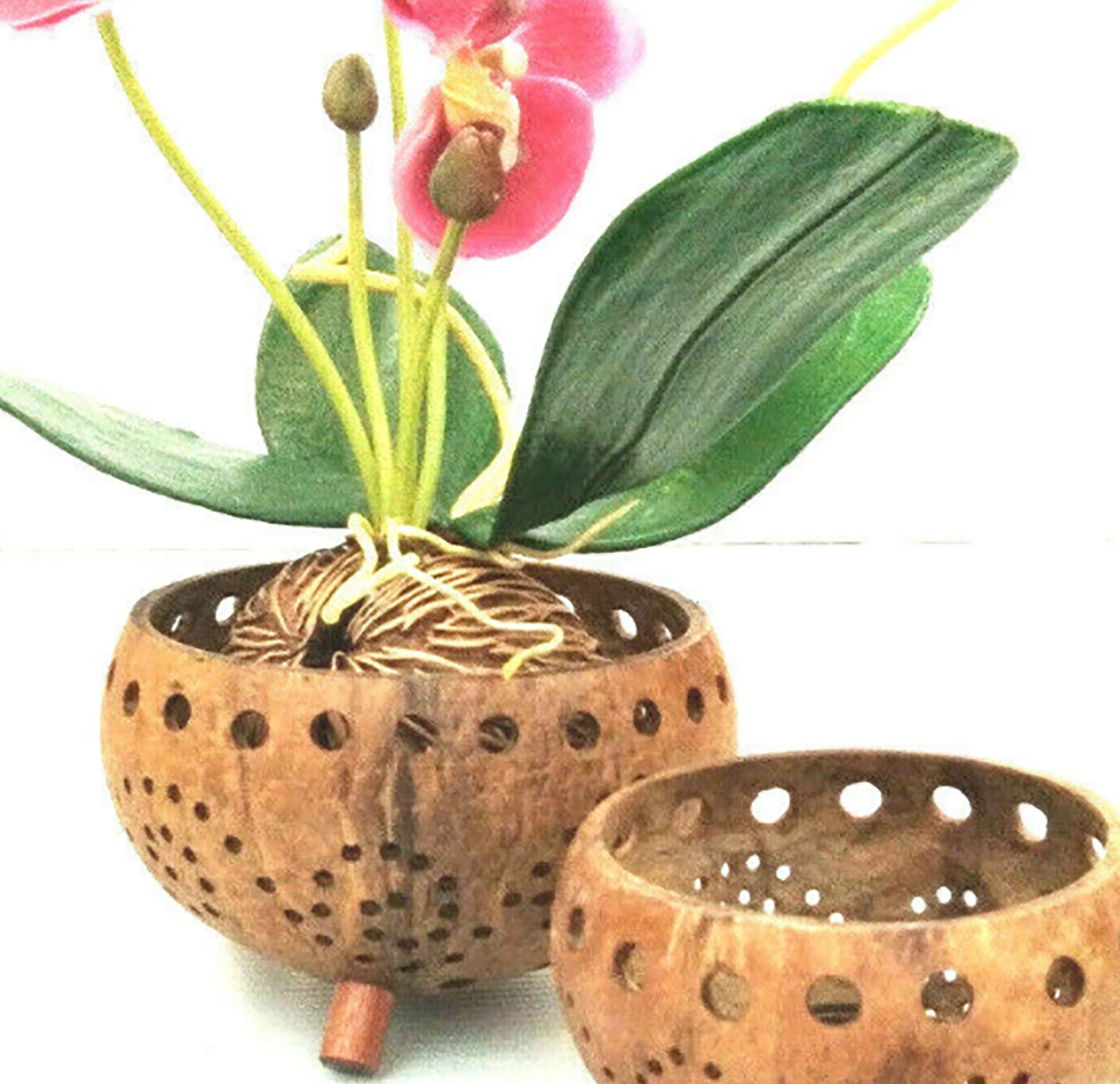 Handmade Carved Coconut Shell Pot Set2 Orchid Flower Basket Etsy