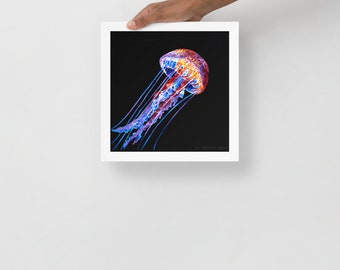 Nightlight Jellyfish *FRAMED* fine art poster print