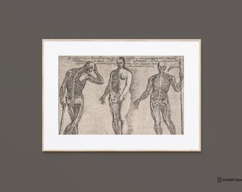 Skeleton Anatomy Print | Dark Academia Wall Art (Digital Download)