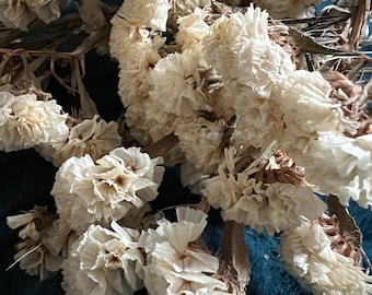 White / Ivory  Statice Dried Flowers dried preserved statice lavender purple , dried