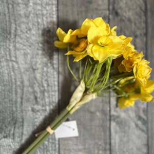 May include: A bouquet of yellow daffodils with green stems. The flowers are arranged in a cluster and have a delicate, papery texture.