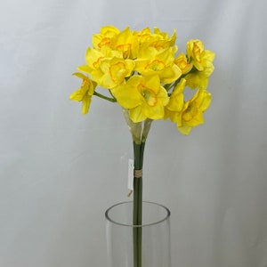 May include: A bouquet of yellow daffodils with orange centers. The flowers are arranged in a vase.
