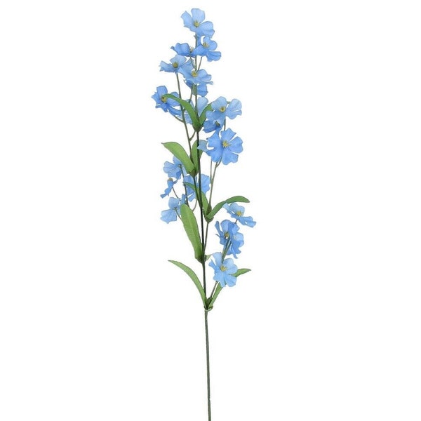 Myosotis etsy