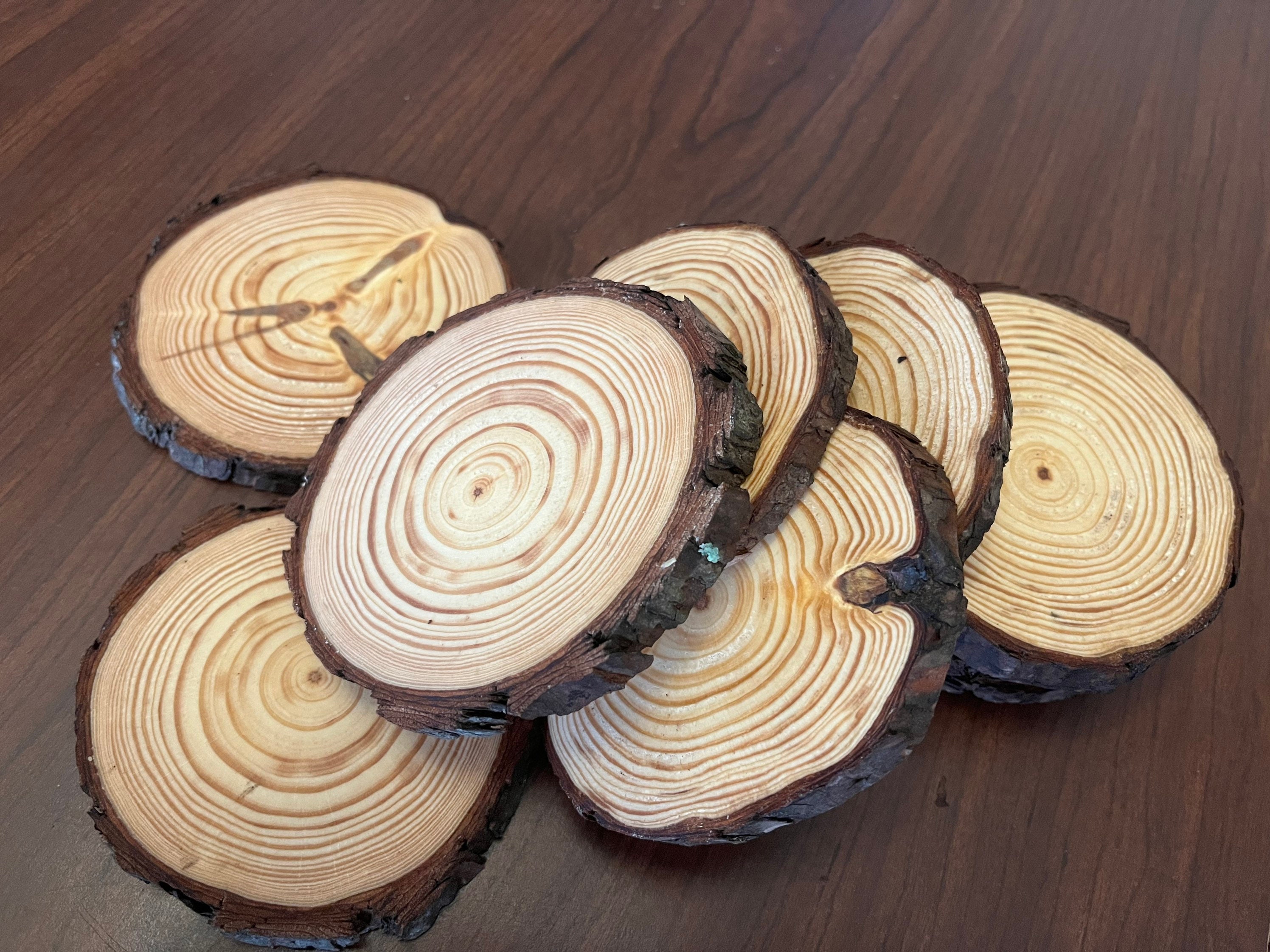 Natural Pine Wood Slabs Untreated 5-6 Inches Diameter x 3/5 inch Thick Large 4 Pieces Solid Wood Slices for Weddings, Table Centerpieces, DIY Projects