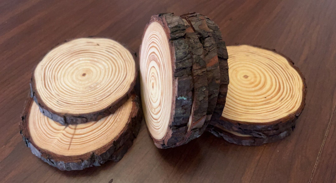 Kiln Dried 4 Inch Craft Wood Rounds Set of 150 Pcs - Etsy
