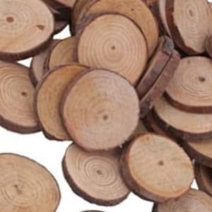 40 pieces 1.5 inch to 2.5 inch craft wood slices