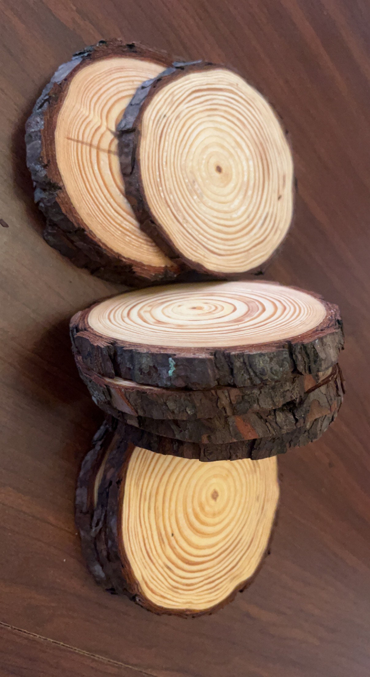 Assorted Wood Slices & Logs
