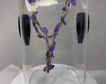 Klimtouwset voor springspinnenverblijven – 25 cm en 35 cm klimtouwen