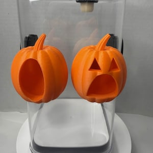 1 Spooky Pumpkin Spider Hide – Two Designs Available