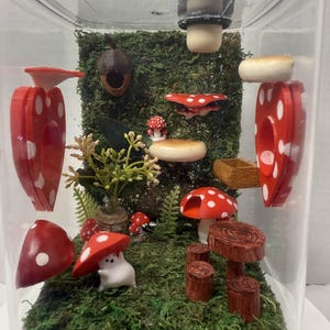 Mushroom Sprout Enclosure: 5x5x7 Spooder Habitat with Heart Vents