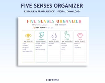 Five Senses Organizer Template | Five Senses Sorting | Field Trip Activity | 5 Senses Printable | 5 Senses Worksheet | Kindergarten Activity