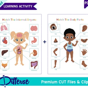 Kinderkörperteile und Organe Lernaktivität | Menschlicher Körper Poster | Kinder lernen | Menschliche Organe | Menschliche Anatomie Kinder | Kinderaktivitäten