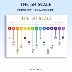 以下が含まれることがあります： 「THE pH SCALE」と書かれた、pHスケールのカラフルな図。0から14までの酸性度とアルカリ度を示し、レモンジュースや漂白剤などの例が示されています。デジタルダウンロードです。