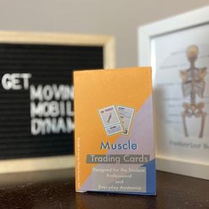 Cartes flash Muscle