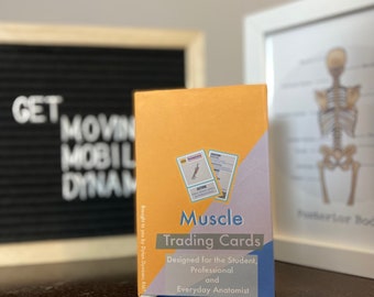 Cartes flash Muscle