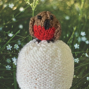 Robin on Snowball Chocolate Orange Cover knitting pattern