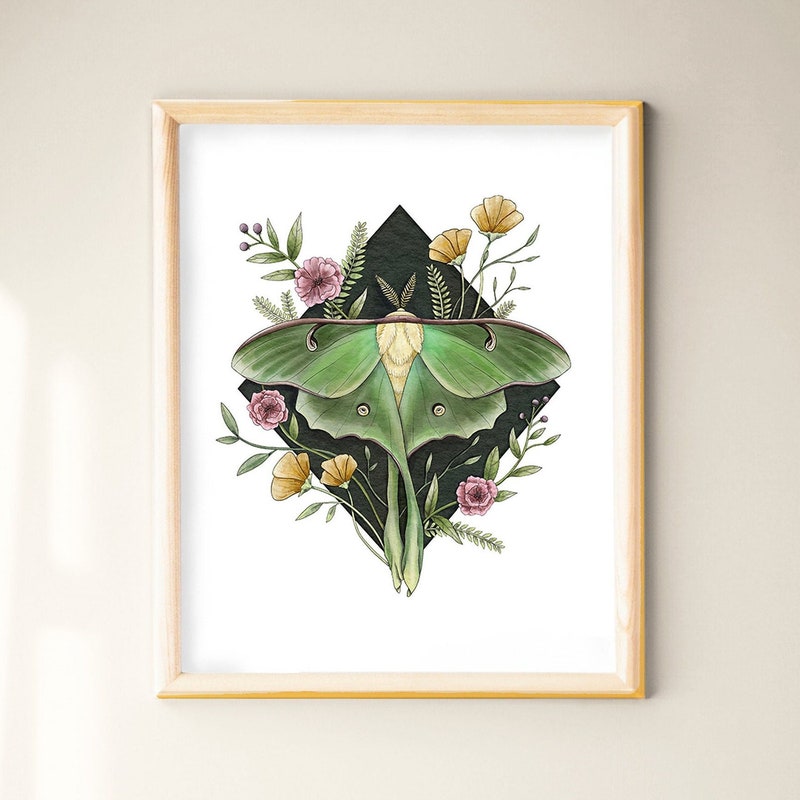 Luna Moth Art - Etsy