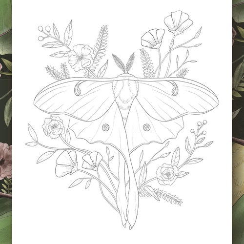 Luna Moth With Flowers Adult Coloring Page Instant Digital - Etsy