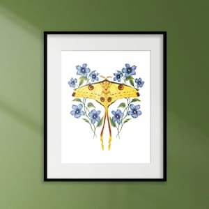 Comet Moth and Flowers Giclée Art Print | Home Wall Decor Fine Art Print | Botanical & Insect Illustration