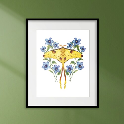Comet Moth and Flowers Giclée Art Print | Home Wall Decor Fine Art Print | Botanical & Insect Illustration
