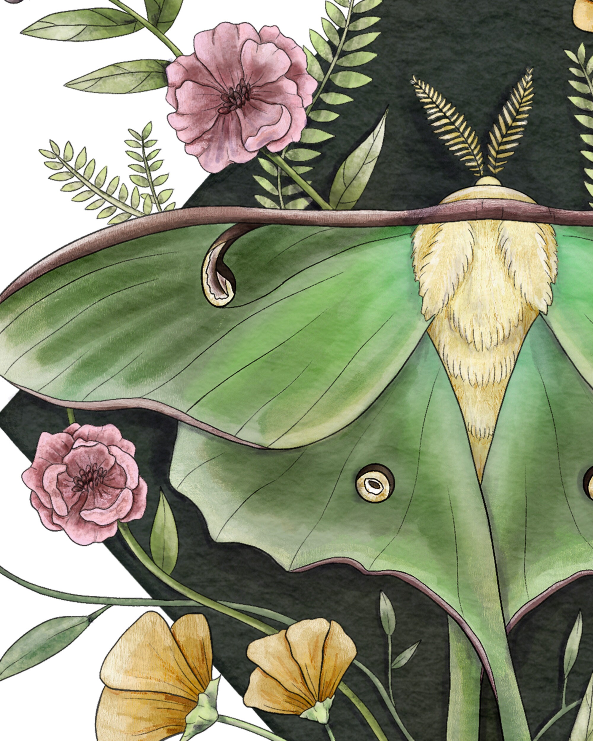 Luna Moth and Flowers Art Print | Home Wall Decor Giclée Fine Art Print ...