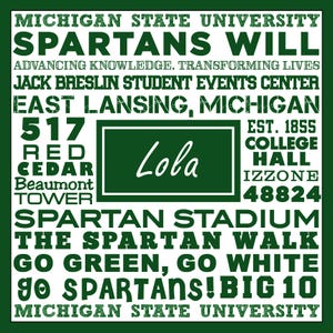 Collegiate Catchall Acrylic Tray - Monogrammed College Tray - Personalized Tray - Dorm Decor bild 19
