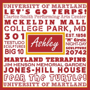 Collegiate Catchall Acrylic Tray - Monogrammed College Tray - Personalized Tray - Dorm Decor bild 6