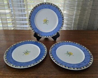 Royal Doulton Carmina Cucina, Vintage Porcelain 8.5" Salad Plates Set of 3, with Lemon Branch Blue Band Mosaic Rim,