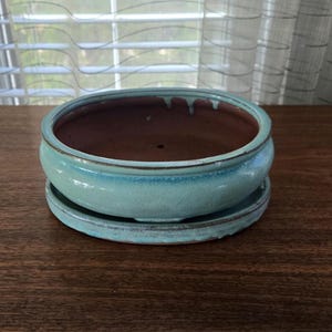 May include: A round, turquoise ceramic bonsai pot with a matching saucer. The pot has a wide, shallow design with a brown interior and a glazed finish. The pot is sitting on a wooden surface.