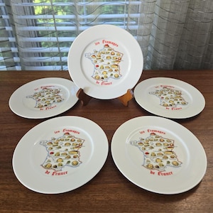 Revol France porseleinen kaasborden set van 5 vintage gedrukte Les Fromages de France 7,5" individuele borden, gesigneerd