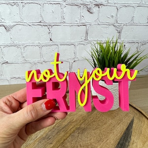 Könnte beinhalten: Ein leuchtend rosa 3D-gedrucktes Schild mit der Aufschrift "not your Ernst". Das Wort "not" ist in Neon-Gelb gehalten. Das Schild wird in einer Hand gehalten. Im Hintergrund ist eine kleine Topfpflanze zu sehen.