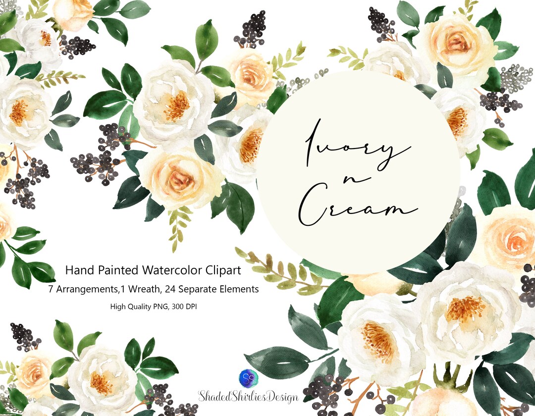 Watercolor Ivory Rose Clipart: Hand-painted Floral Graphics (digital ...