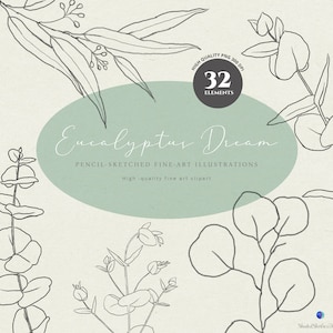 Eucalyptus Line Art Clipart: Hand-Sketched Botanical PNG (Digital Download)