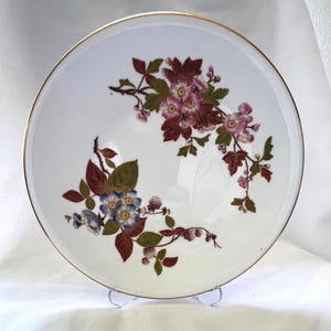 Vintage Royal Worcester Decorative  Porcelain Plate / 9&#39;&#39; _ 24cm /