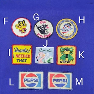 May include: Assortment of colorful iron-on patches featuring various designs, including a cartoon mouse, a skunk, a cruise missile, a flamingo, a frog, and a Pepsi logo.
