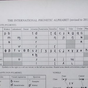International Phonetic Alphabet Chart 11 x 9 inches - FREE Shipping - Laminated