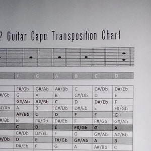 Guitar Capo Transposition Chart ~ Laminado ~ Envío GRATIS ~
