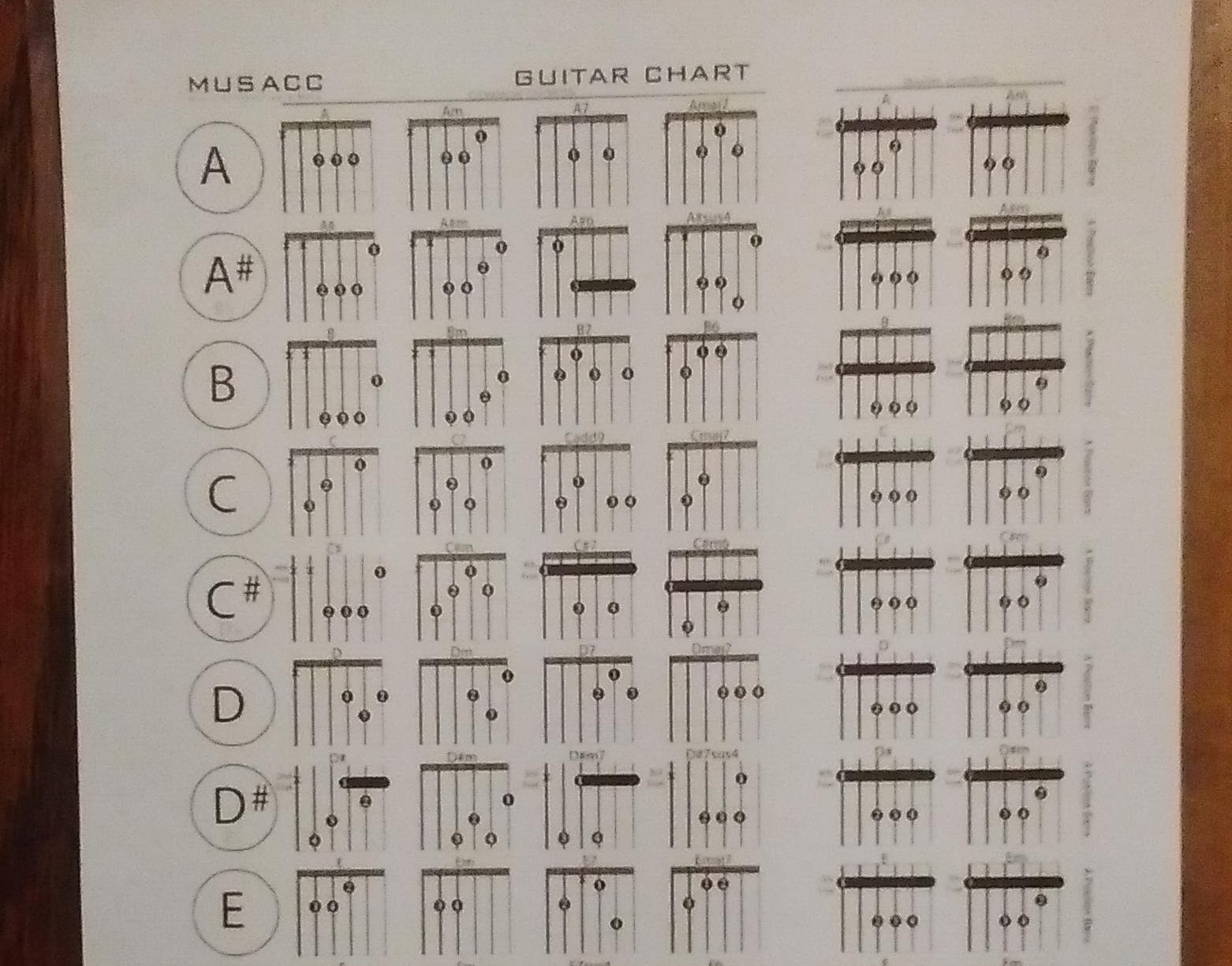 Common Chords and Barre Chords for Guitar Chart - Laminated - Etsy