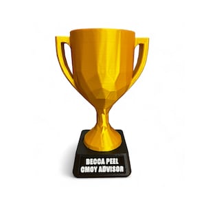 Personalised Trophy, 3D Printed, Gold Cup, Custom Trophy, Golf Trophy, Large Trophy, Gold Award
