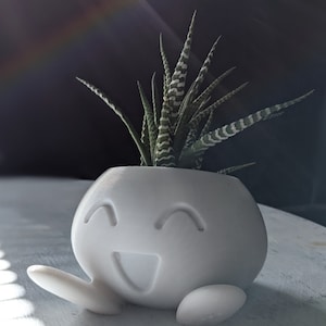 Oddish Planter, Cute Planter, Anime Planter, Mini Planter, Animal Planter, Cute Plant Pot, Cute Succulent Planter, 3D Printed Planter