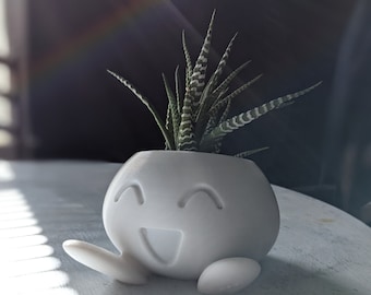 3Dプリントのオディッシュプランター、かわいい多肉植物ポット、アニメの装飾