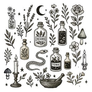 Apothecary Witchy Botanical Elements PNG