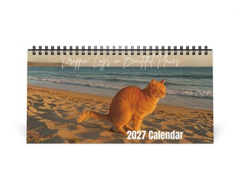 Grappige bureaukalender met poepende kat voor 2027, grappig cadeau voor kattenliefhebbers, Yankee Swap, cadeau voor een collega, Secret Santa, grappig kattencadeau, grappige kalender