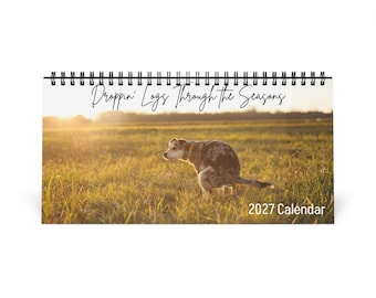 Funny 2027 Desk Calendar, Pooping dogs calendar, Funny Gag Gift for Animal Lovers, White Elephant, Secret Santa, Yankee Swap, Dog Lover Gift
