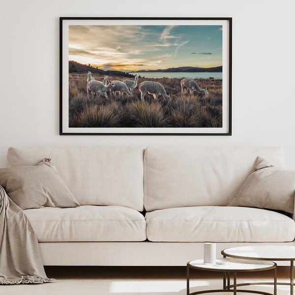 Alpacas y la laguna - Hochwertiger Foto-Print (Peru)