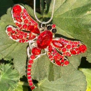 Puede incluir: Un collar con colgante de libélula plateada con piedras preciosas rojas y negras. La libélula tiene alas y cuerpo detallados, con una gran gema roja en el centro. El collar se muestra sobre una hoja verde.