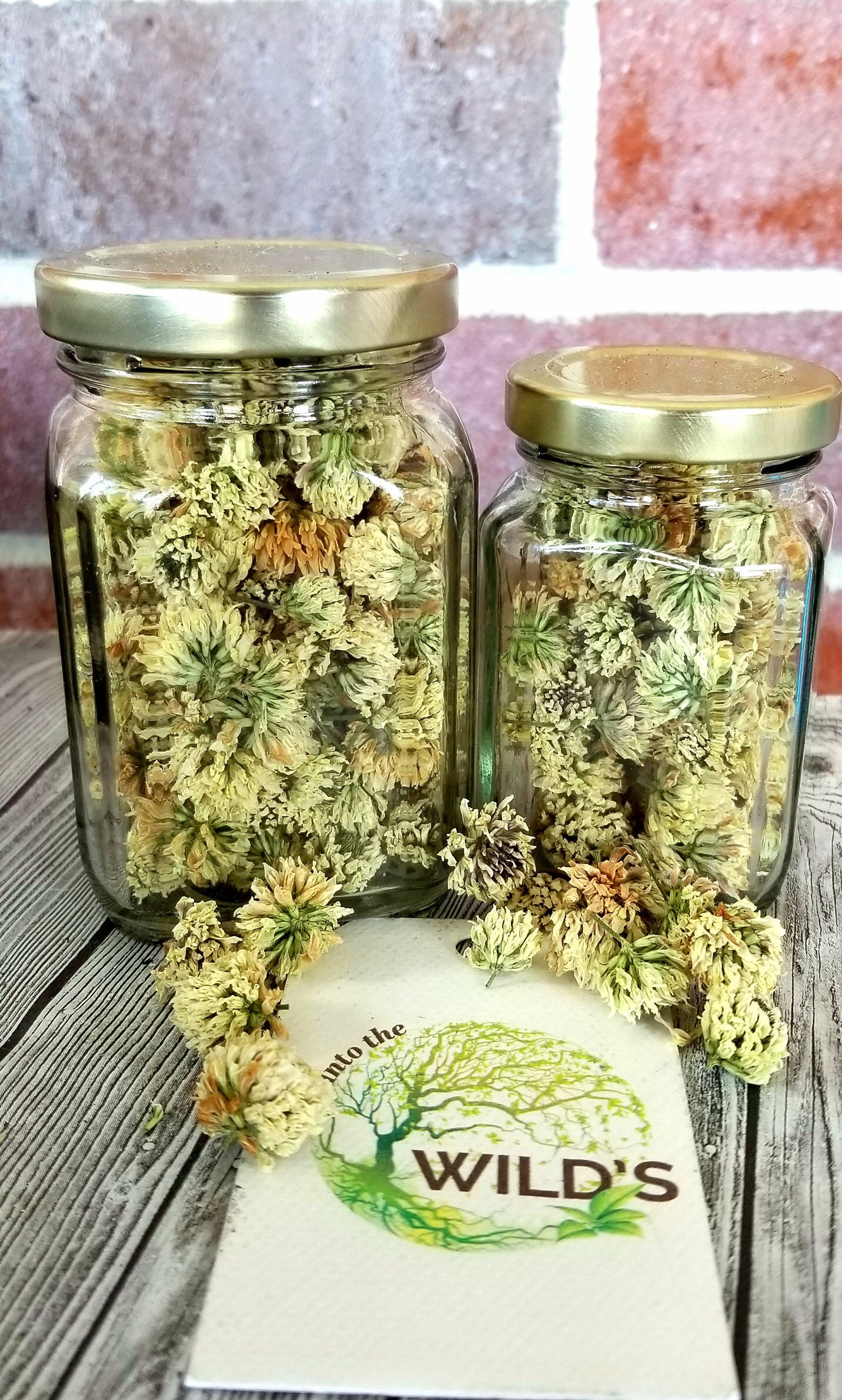 Organic Dried White Clover Flower Tea/wild Harvested/buds Only Etsy