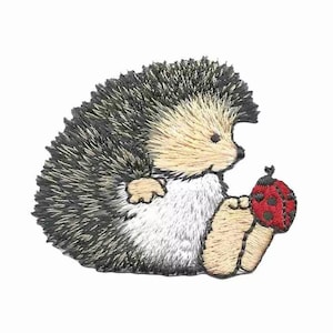 Cute Hedgehog Patch with Daisy Iron on Small Patch 2 X 2 Patch