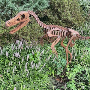 life sized Steel Velociraptor skeleton