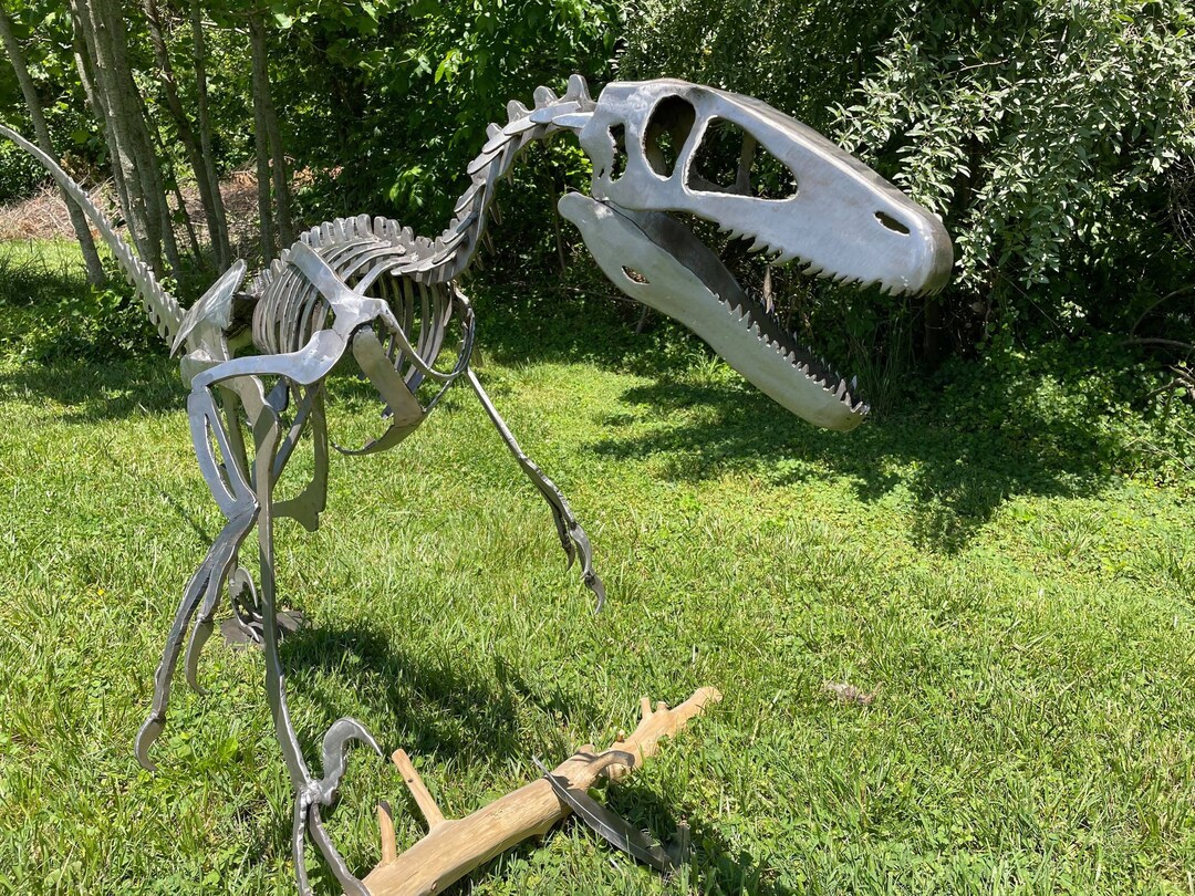 Life Sized Deinonychus Steel Skeleton - Etsy
